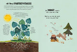 Abrams - 5-Minute Nature Stories