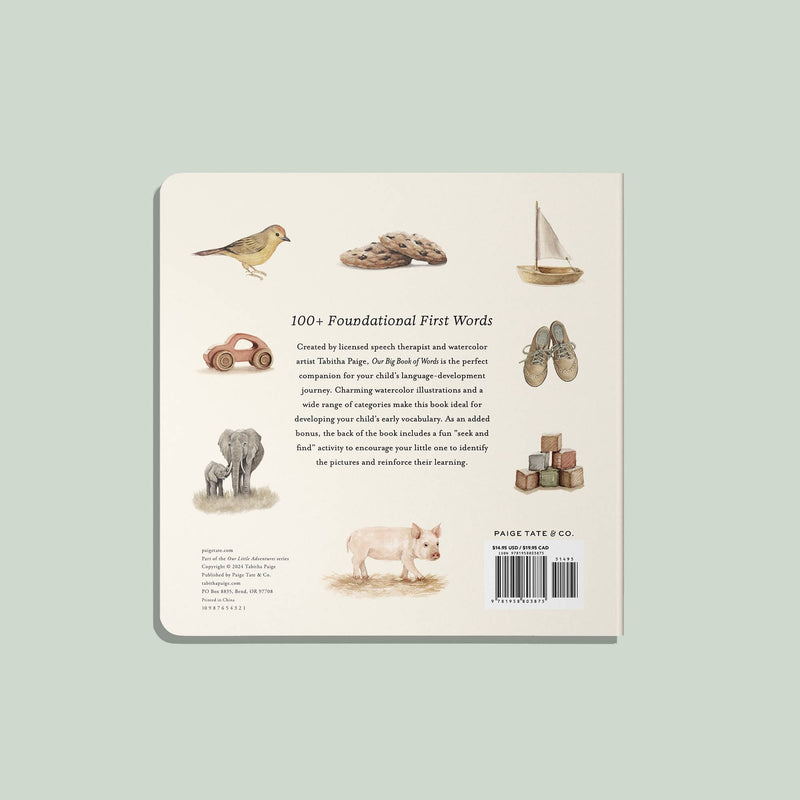 Paige Tate & Co. - Our Big Book of First Words