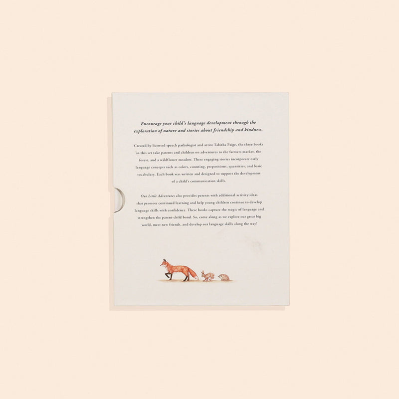 Paige Tate & Co. - Our Little Adventures Box Set for Kids