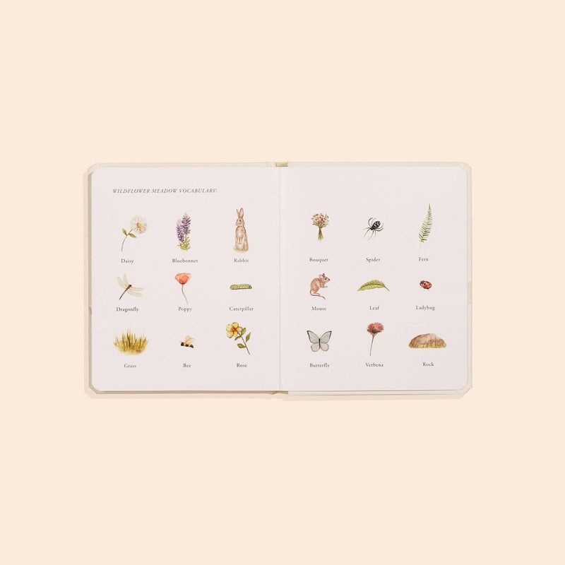 Paige Tate & Co. - Our Little Adventures Box Set for Kids